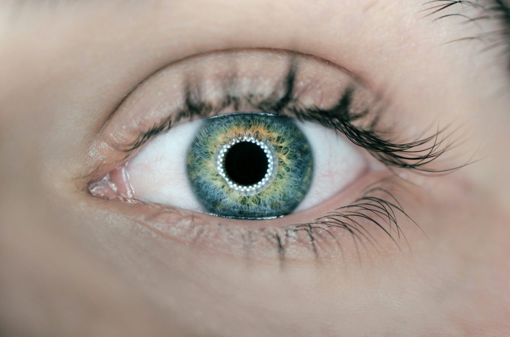 Closeup photograph of a human eye with a ring of lights reflected in the iris