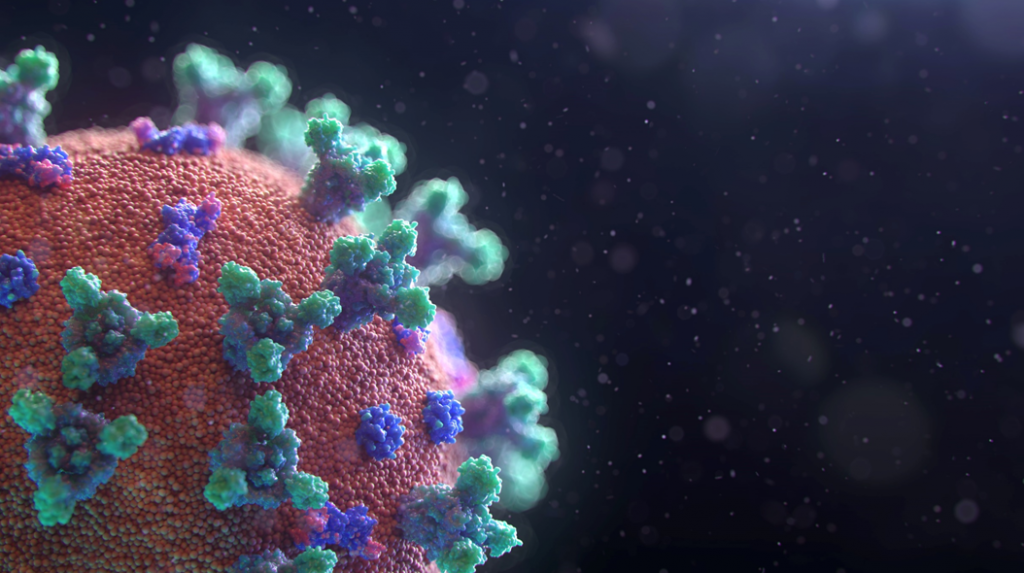 Computer-generated image of a COVID virus particle. Image credit: Fusion Medical Animation/Unsplash URL: https://unsplash.com/photos/EAgGqOiDDMg