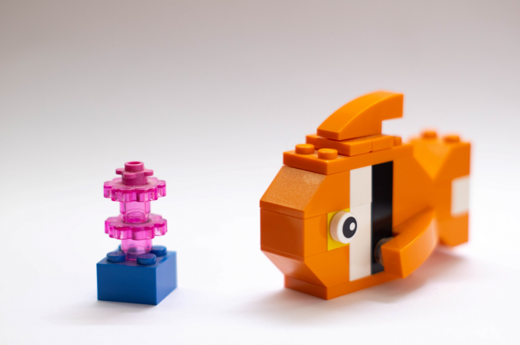 Photograph of a toy orange, black, and white clownfish made of Lego blocks (or similar). Image credit: Grianghraf/Unsplash