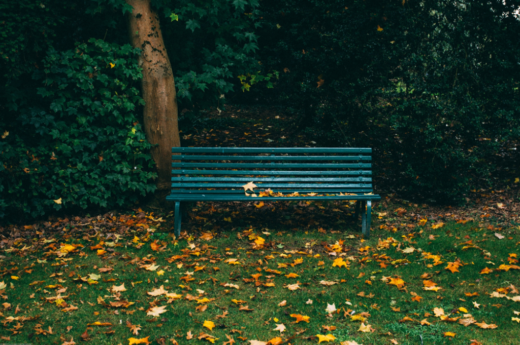 Empty park bench with fallen leaves scattered around, trees in the background. Image credit: Will Patterson/Unsplash