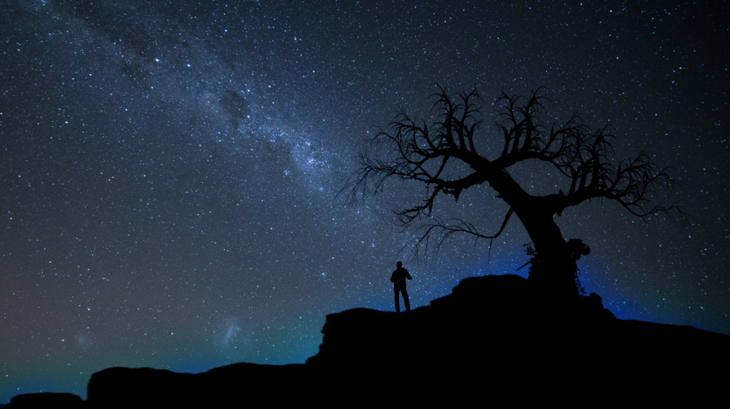 Night time photograph showing starry sky with Milky Way at center. A human figure and leafless tree standing on a hilltop are silhouetted in the foreground. Image credit: Vincent Chin/Unsplash