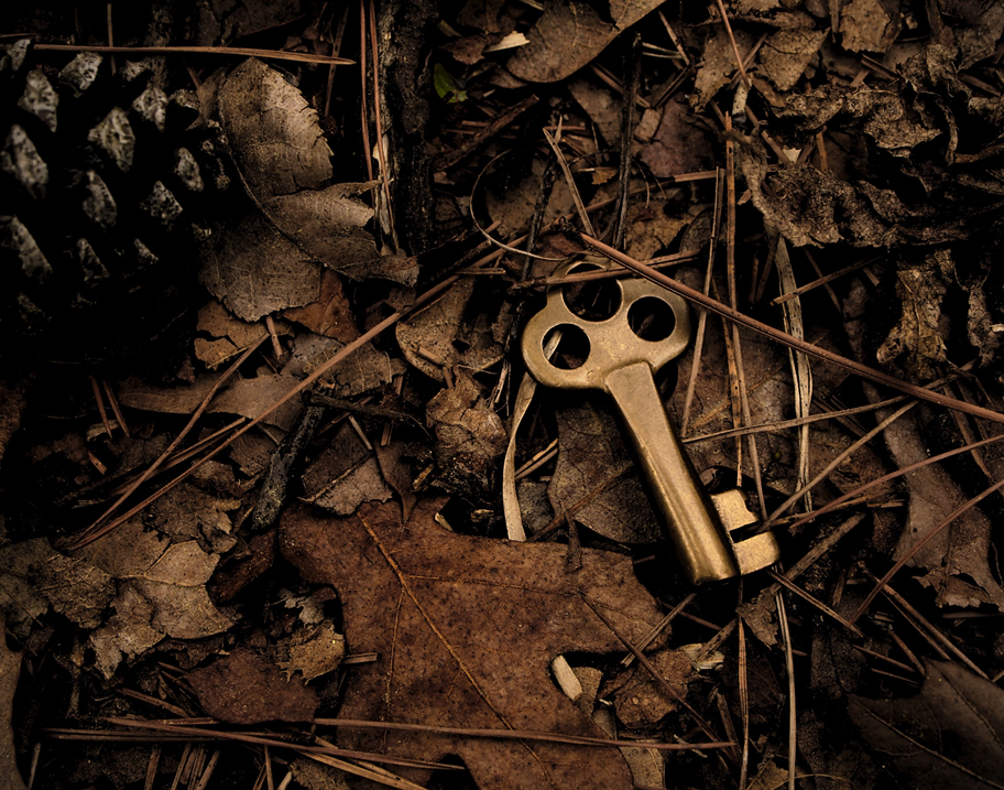A small key half-hidden among leaf litter and pine needles on the forest floor. Image credit: Michael Dziedzic/Unsplash