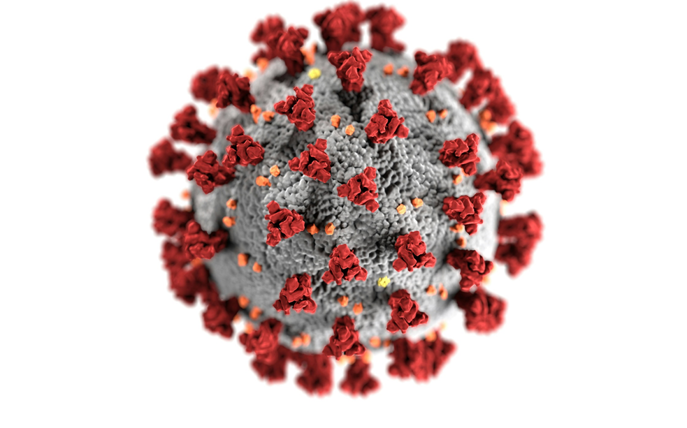 A scientific illustration showing the outer structure of a SARS-CoV-2 coronavirus, with red protein spikes jutting out of the spherical gray shell of the virion. Image credit: CDC