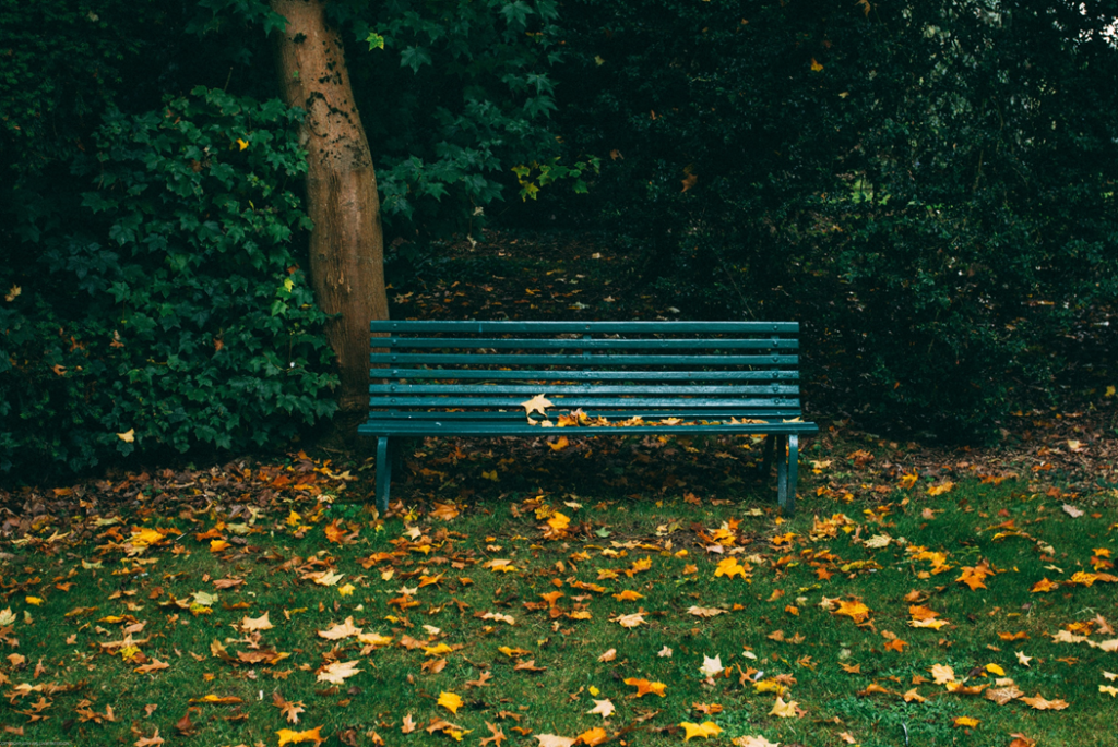 Photograph shows an empty park bench painted dark green, sitting against a background of greenery with a carpet of fallen yellow leaves underneath and on the bench itself. Image credit: Will Paterson/Unsplash