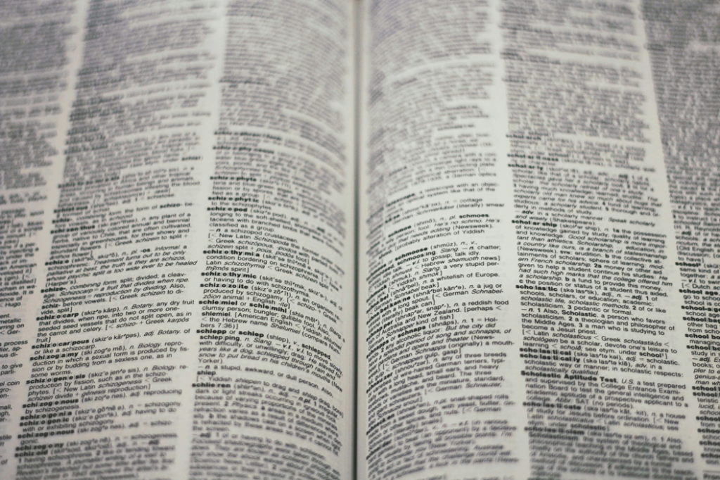 Selective focus photograph of an open dictionary, with some of the definitions legible. Image credit: Joshua Hoehne/Unsplash