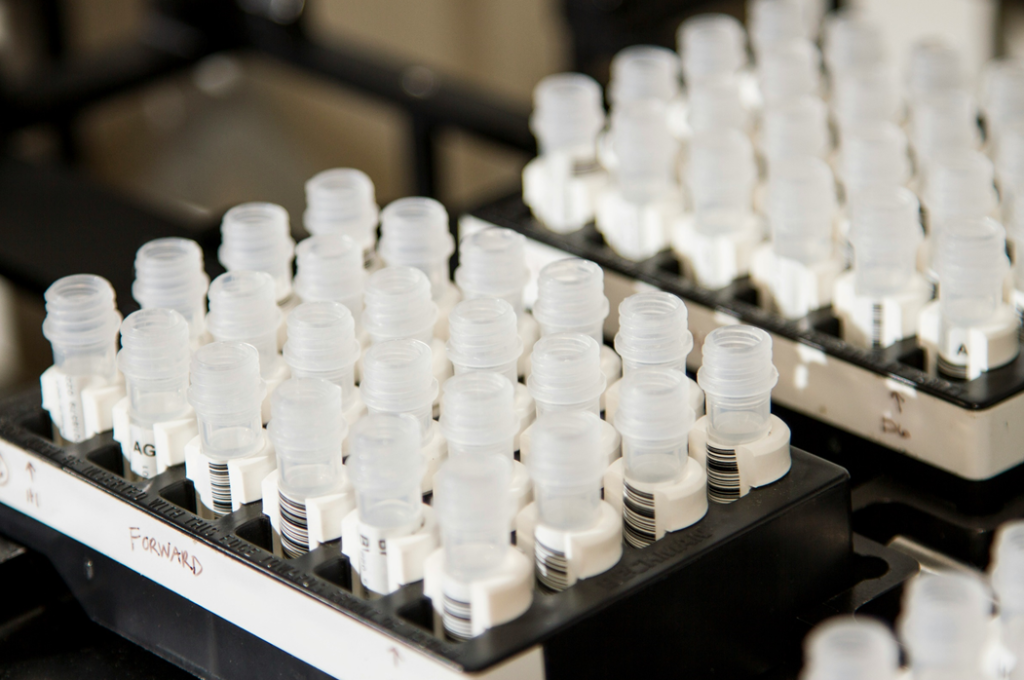 DNA Genotyping and Sequencing. Vials containing DNA samples from studies of the genetic risk for cancer at the Cancer Genomics Research Laboratory, part of the National Cancer Institute's Division of Cancer Epidemiology and Genetics (DCEG). Image credit: National Cancer Institute