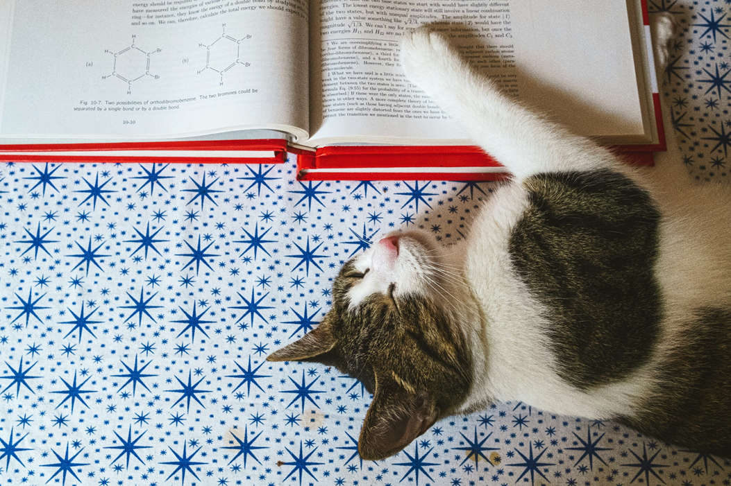 A grey and white cat lies asleep on a table, with one paw resting on a chemistry textbook open to a molecular diagram. Image credit: Dimitry B/Unsplash