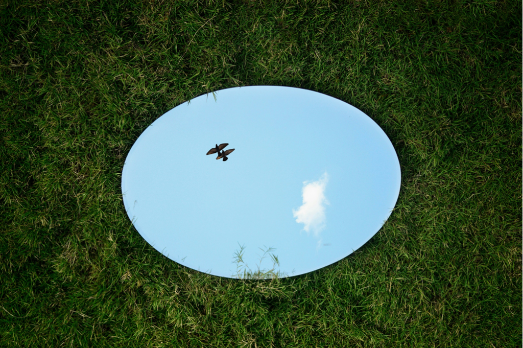 An oval mirror sits on green grass, with blue sky, white cloud, and a pair of birds reflected in its surface. Image has been rotated 90 degrees counterclockwise from original orientation. Image credit: Jovis Aloor/Unsplash