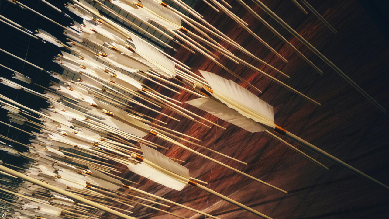 Wooden surface with hundreds of arrows bristling out of it, each with white feathers. Image credit: Possessed Photography/Unsplash