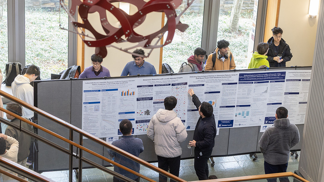 image poster showcase